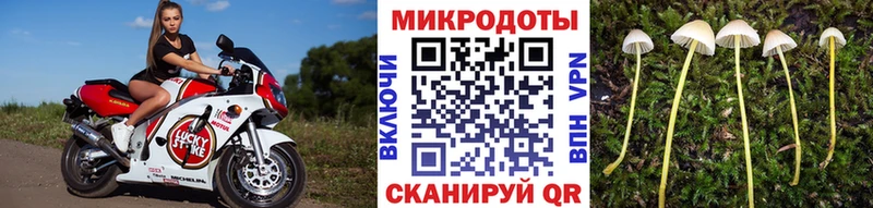 Галлюциногенные грибы Psilocybine cubensis  shop клад  Фролово 